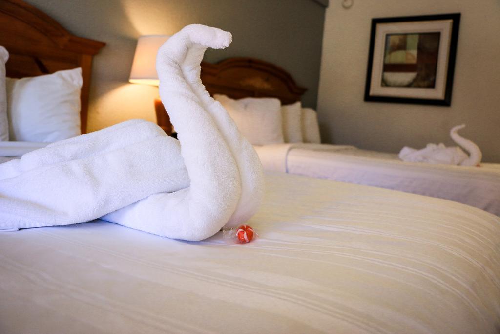 Suite Dreams Hotel Mattoon Zewnętrze zdjęcie